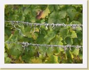 2006-10-21_17-06-01_octobre_183,0mm_1_50_eme_DiMAGE A2 * 2560 x 1920 * (2.71MB)